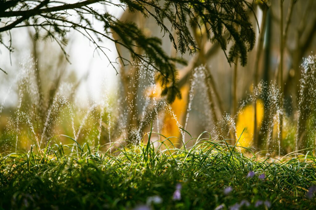 Multiple streams of sprinkling water